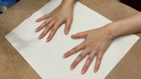 手の甲 + 手指